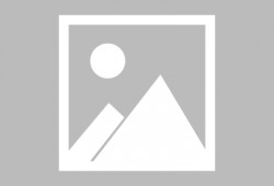 p50最新爆料,揭秘全新旗舰手机的核心亮点与神秘功能