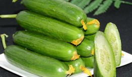 新黄瓜最新爆料图片高清,高清爆料图揭示独特魅力